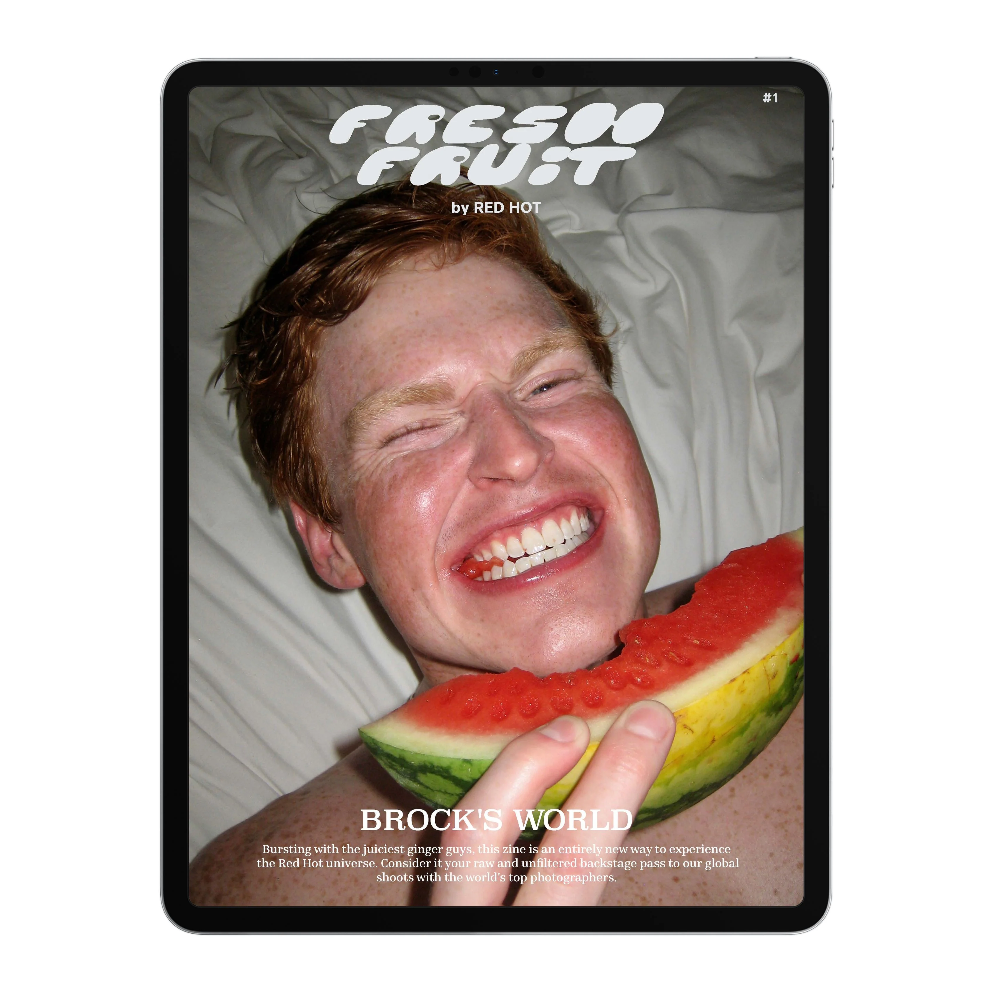 Thumbnail 1